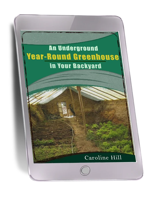 The Lost SuperFoods bonus